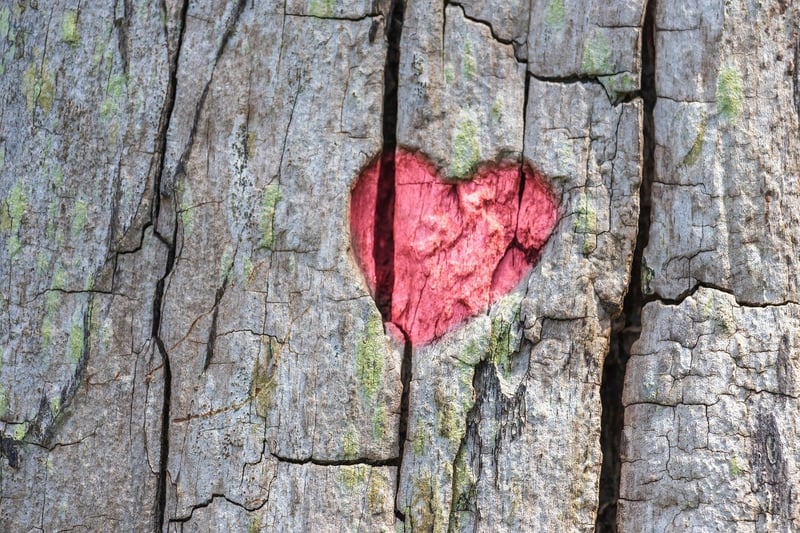 Connection with Nature